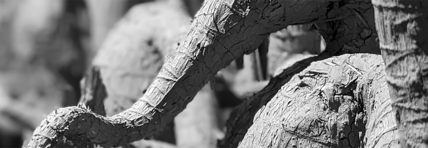 Durga Puja India |About